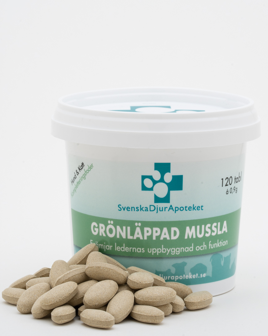 Grönläppad Mussla