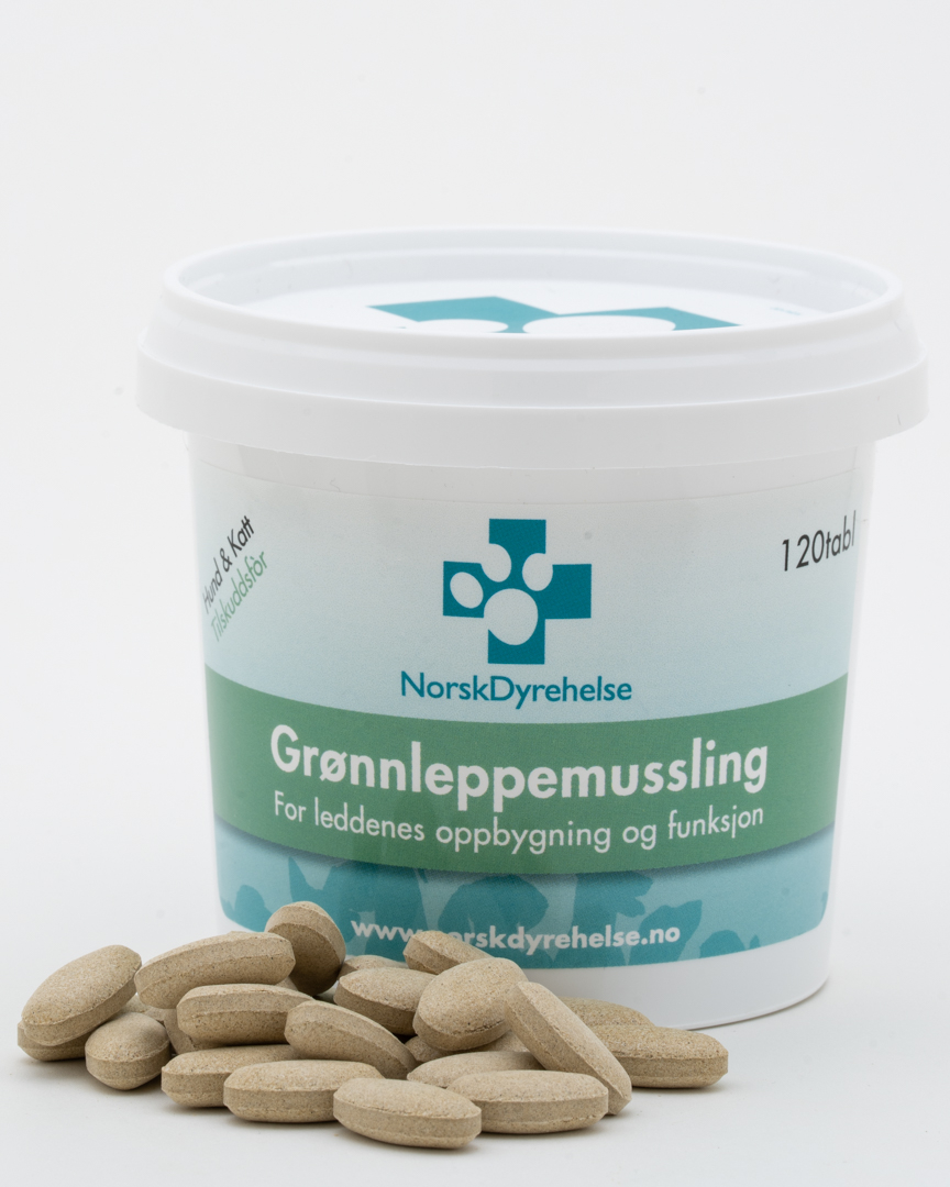 Grønnleppet Musling