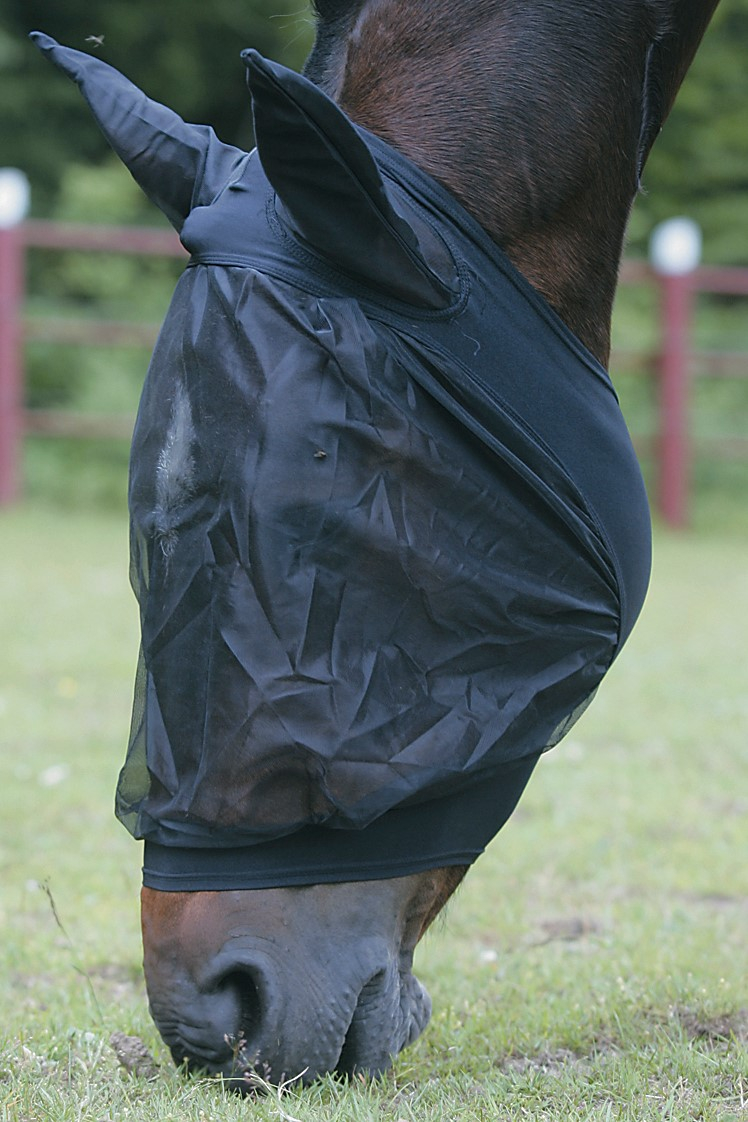 Kärpäshuppu korvilla