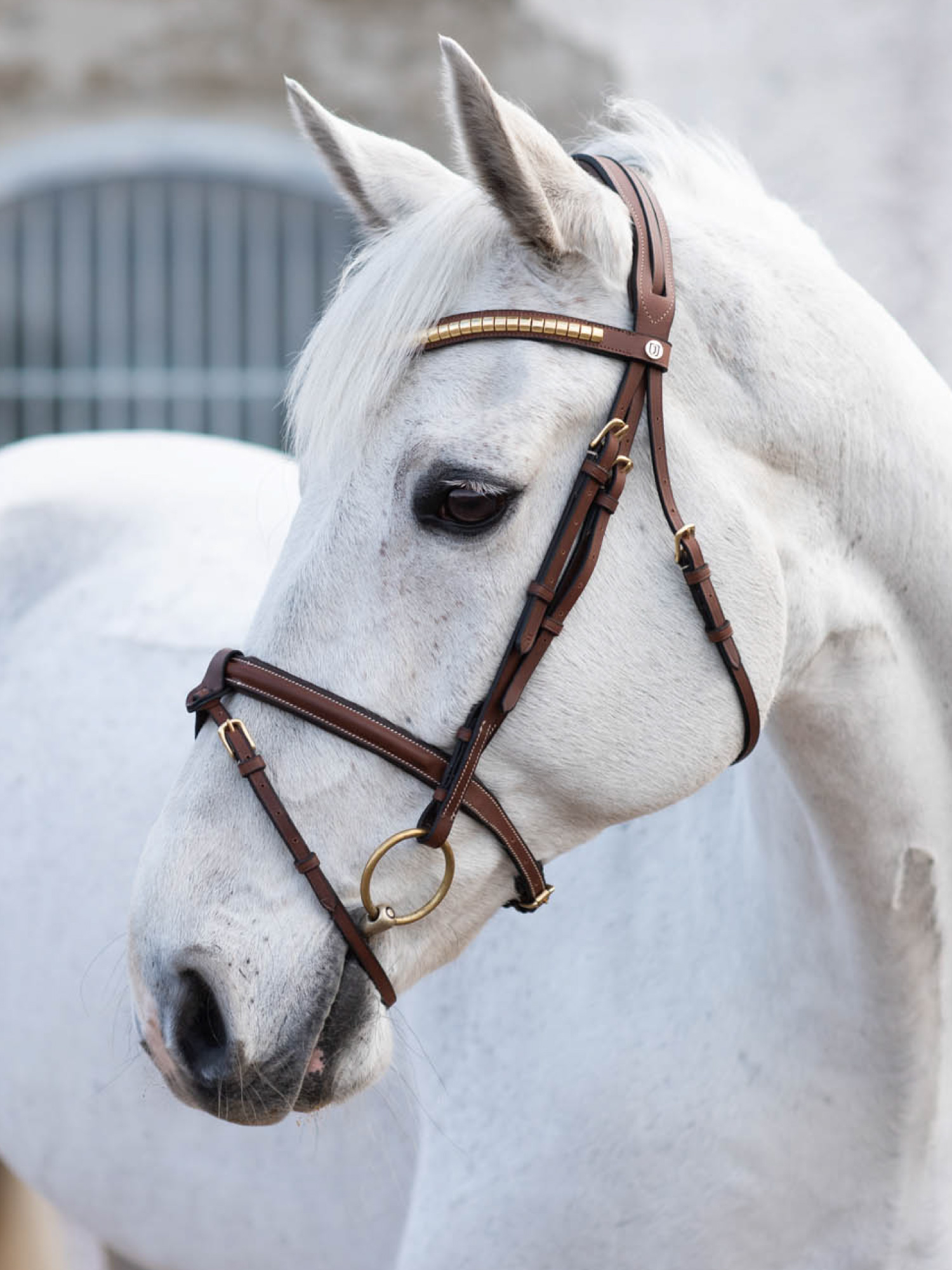 California Aachenhodelag Brun