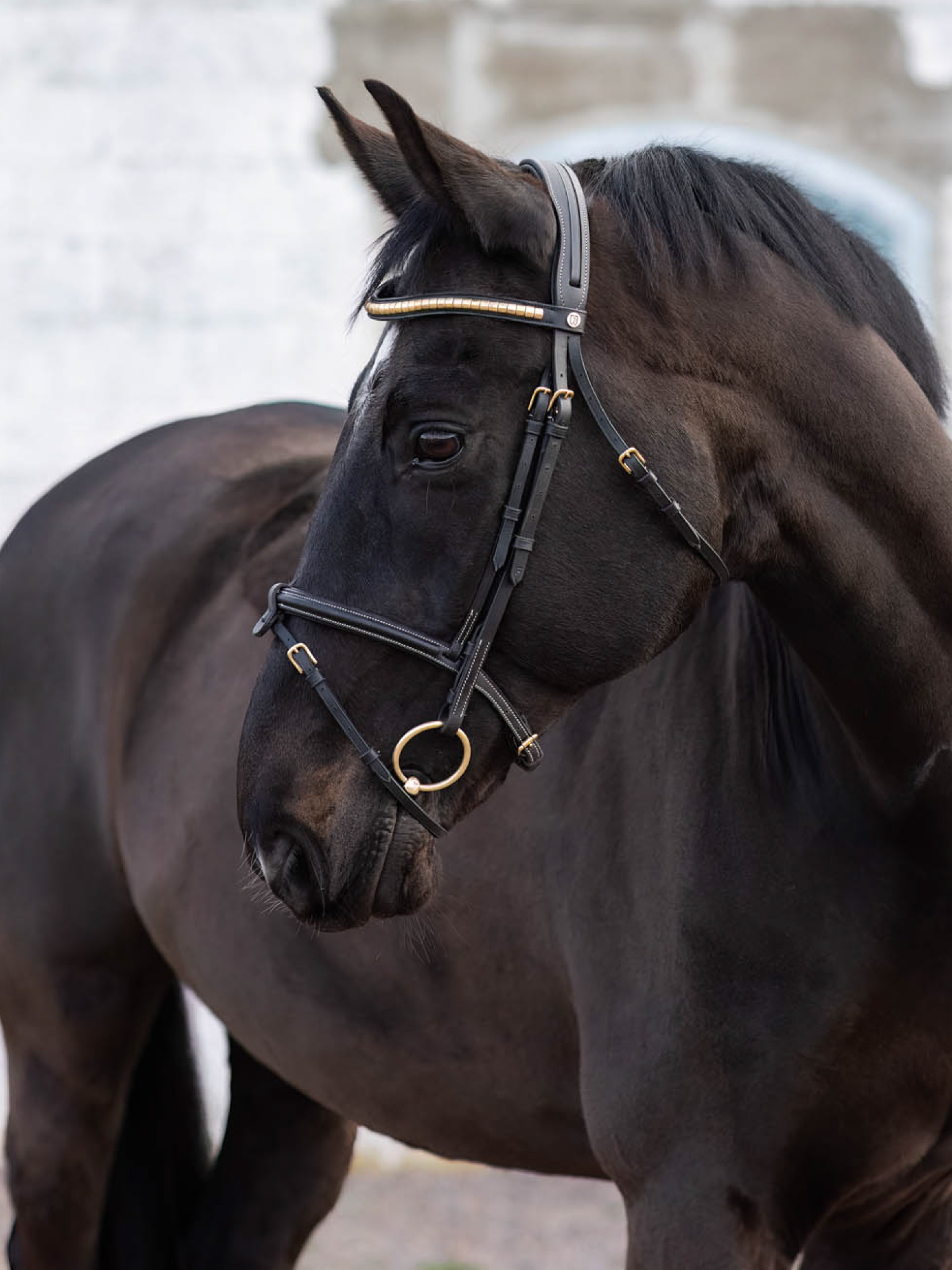 California Aachensuitset Musta