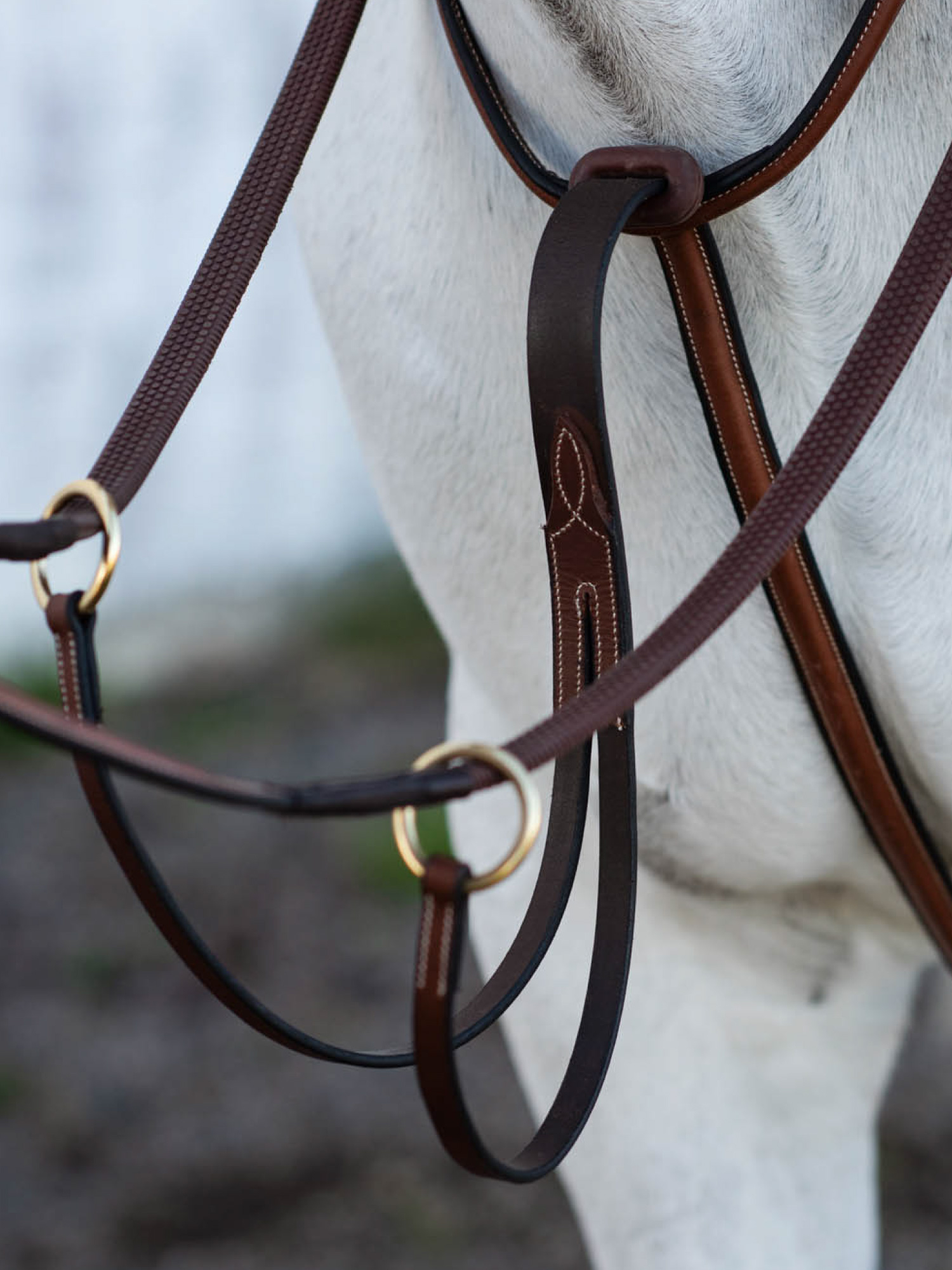 Cincinatti Martingal Brun