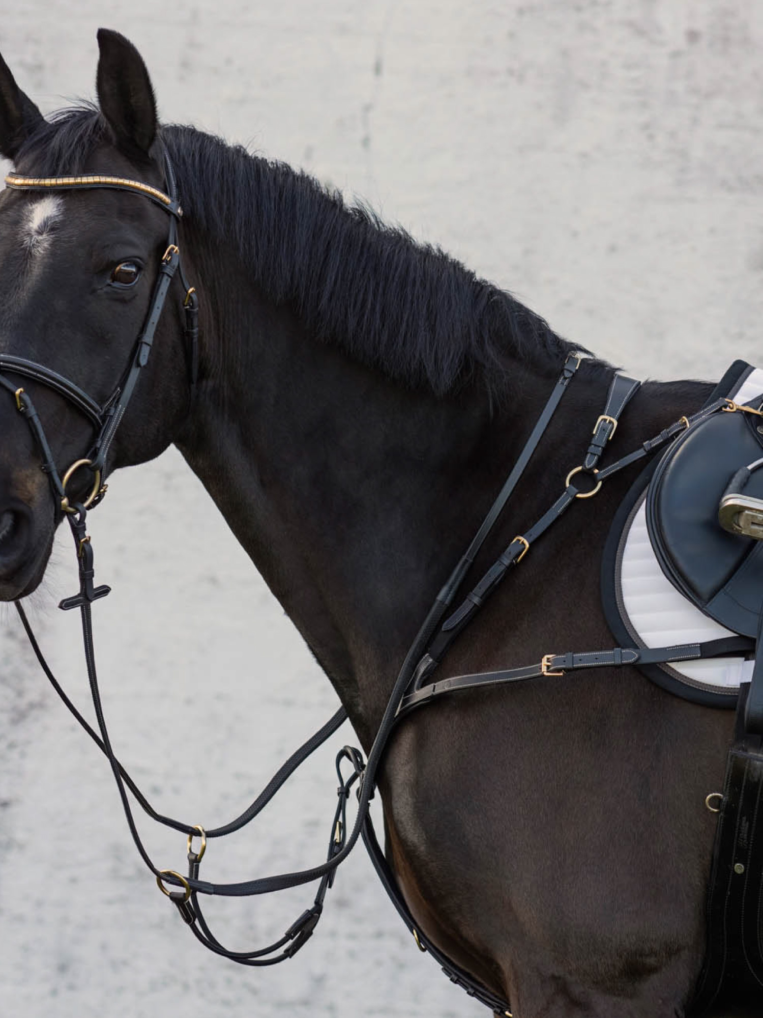 Corona Brystrem Svart