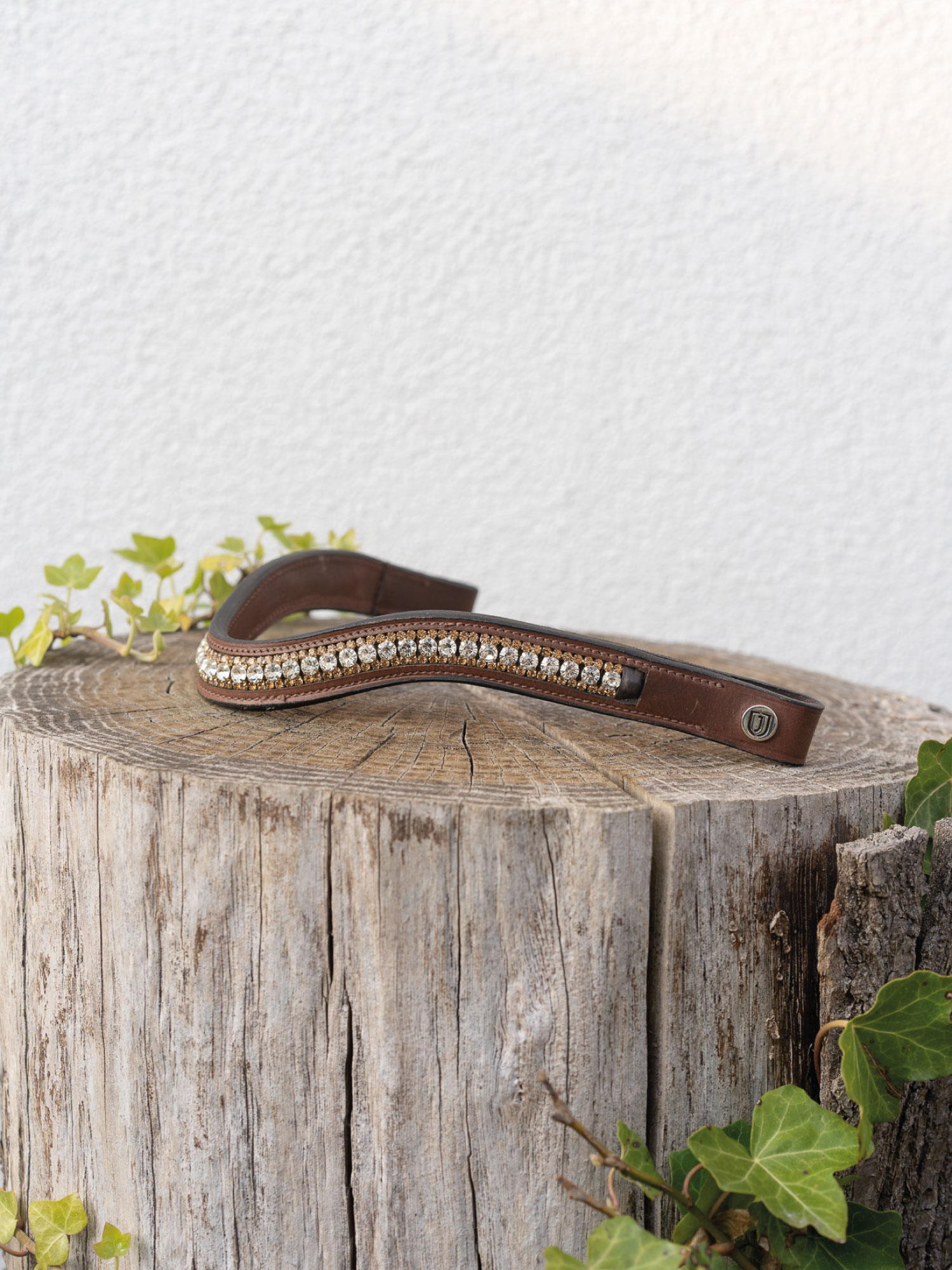 Cary otsapanta Ruskea