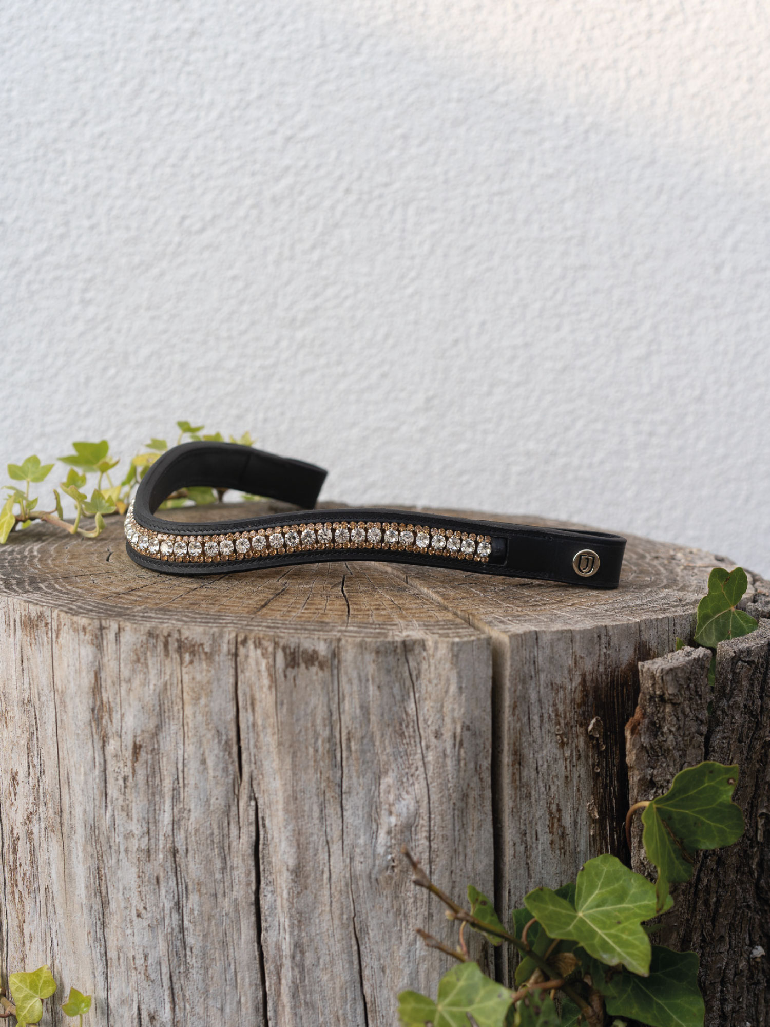 Cary otsapanta Musta