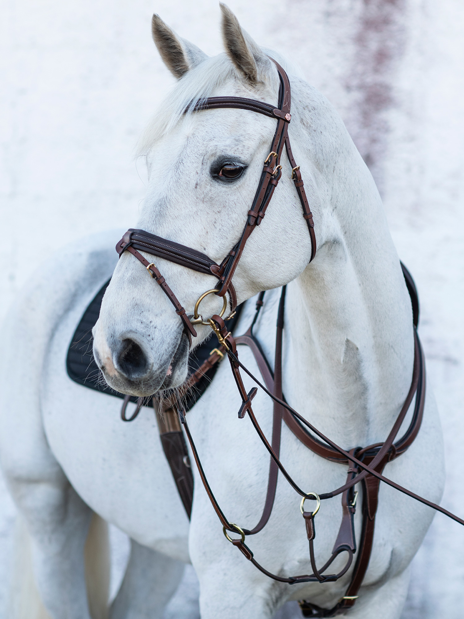 Olympia rintaremmi Ruskea