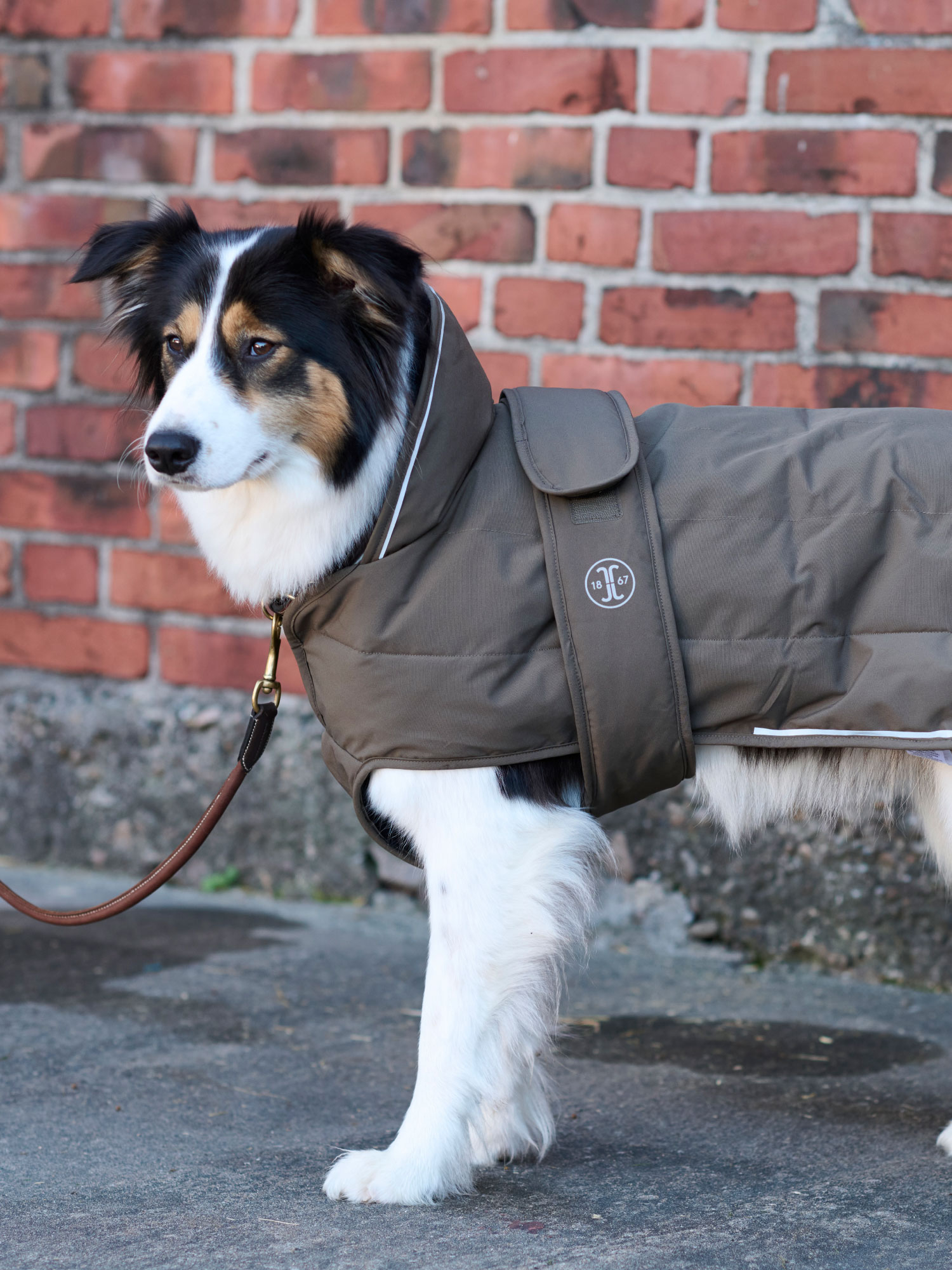 Rakel koiran mantteli Ruskea