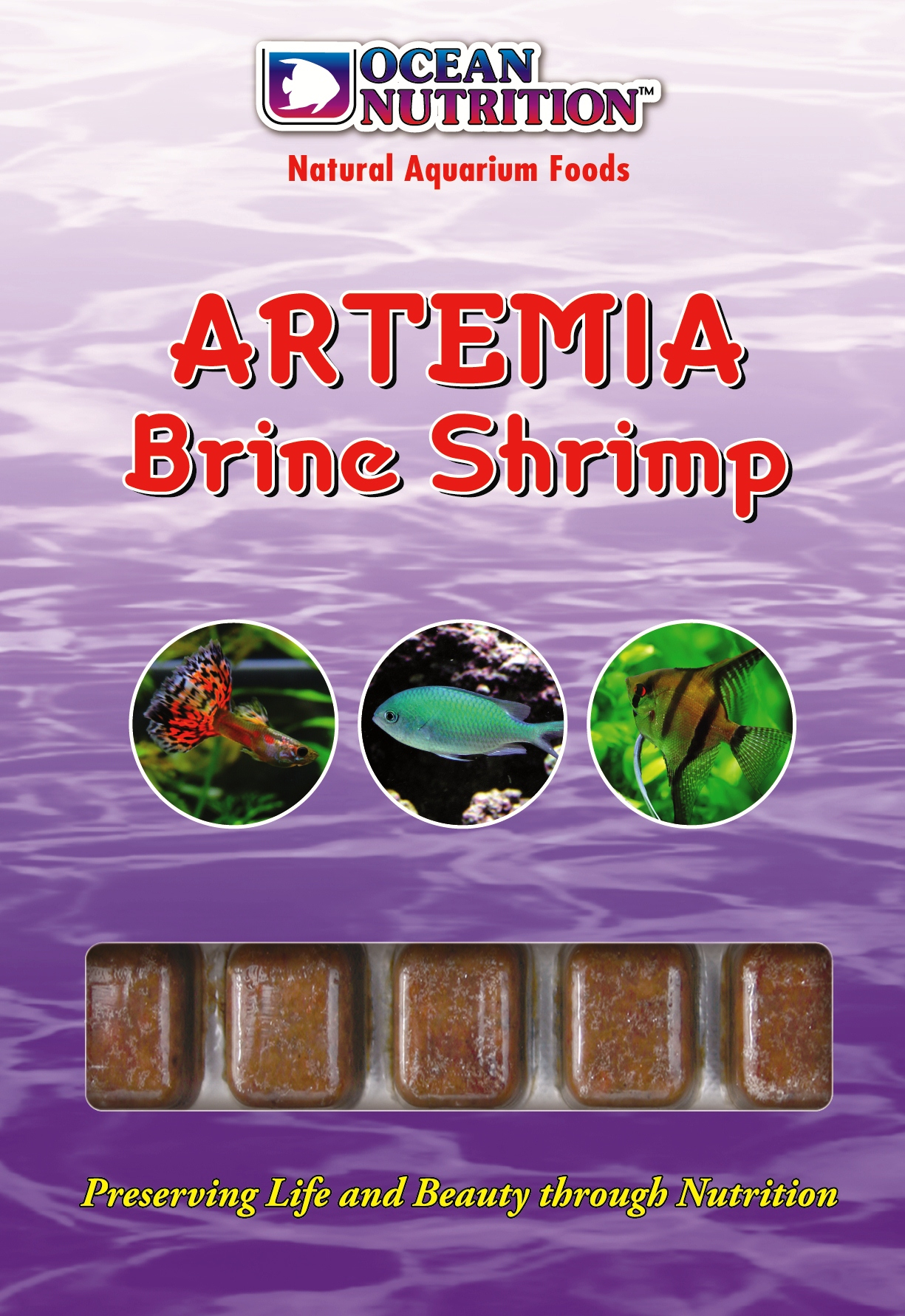 Frysta Artemia