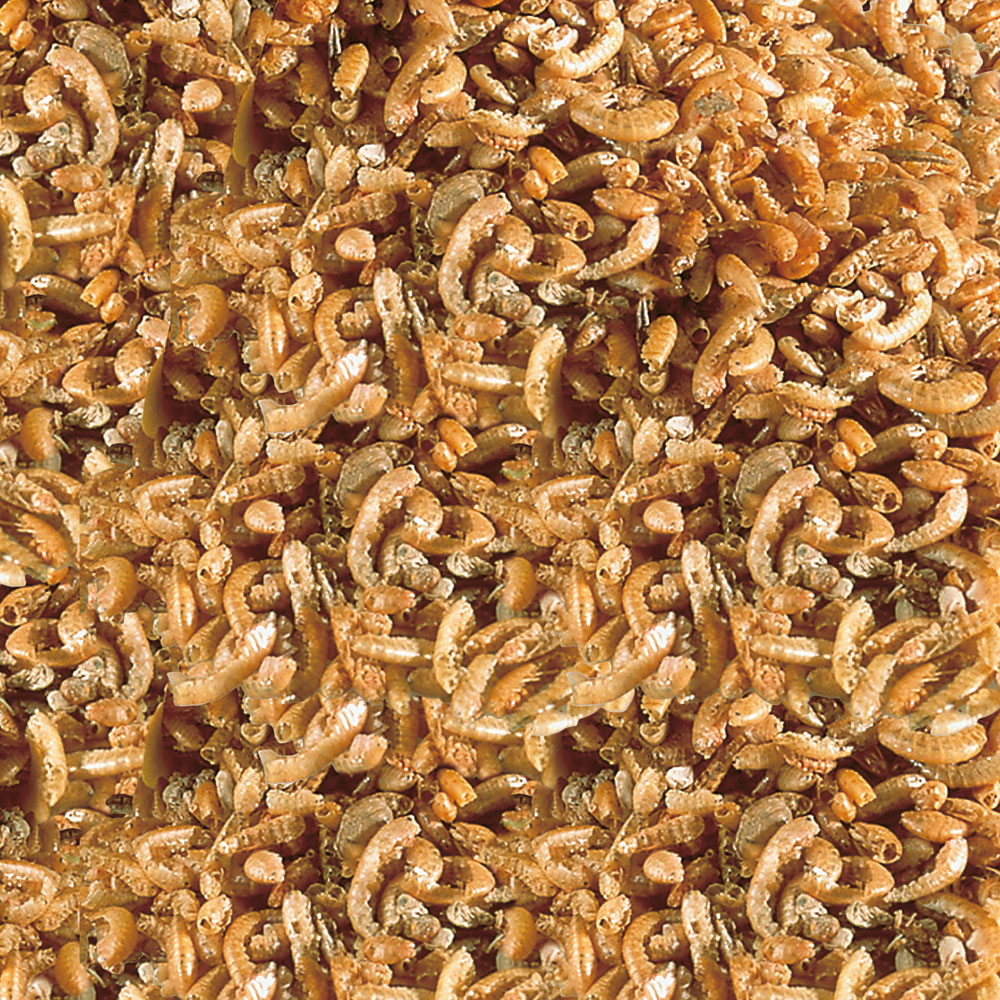 Raffy I Nature Pellets