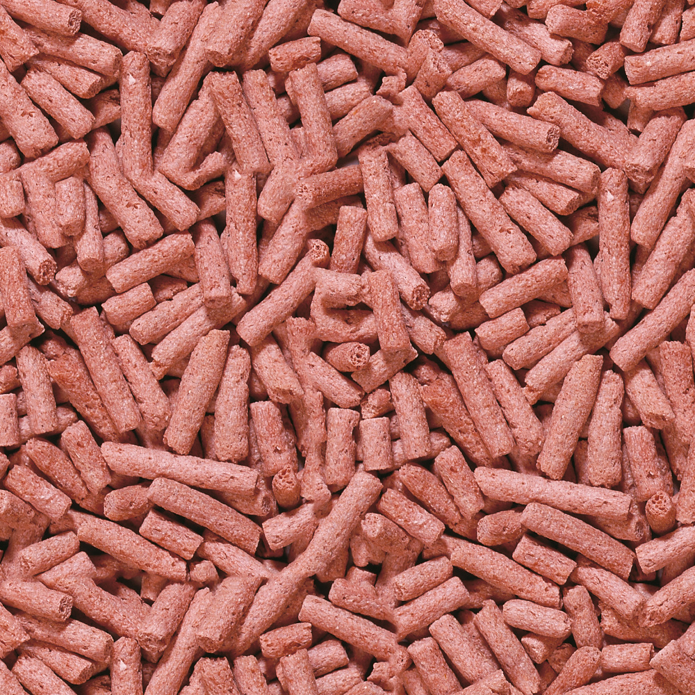 Pond Color Sticks Nature