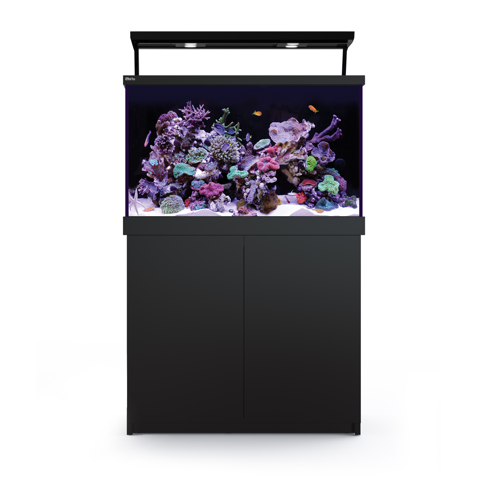 Max S Akvarium Set Svart