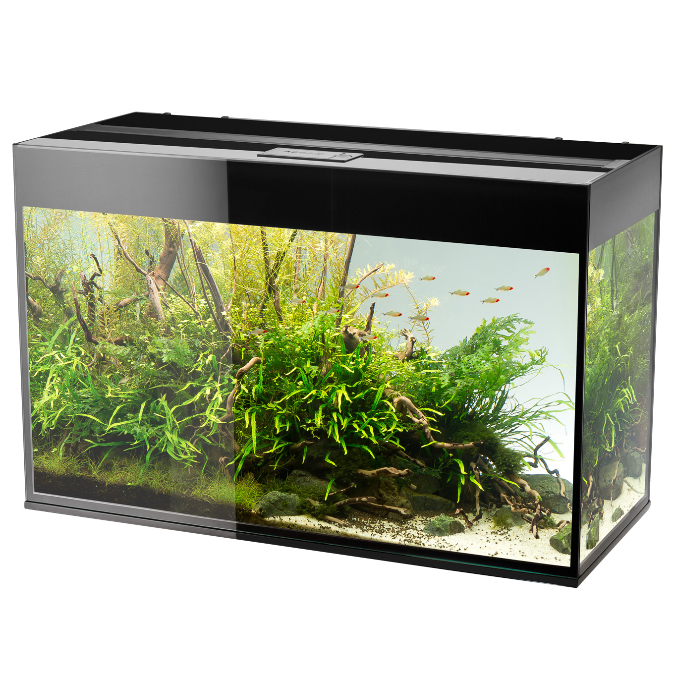 Akvarium Glossy Svart