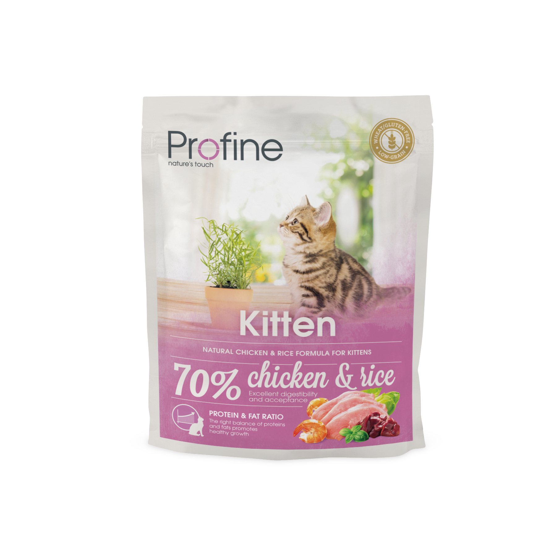 Kitten kuivaruoka kissanpennulle