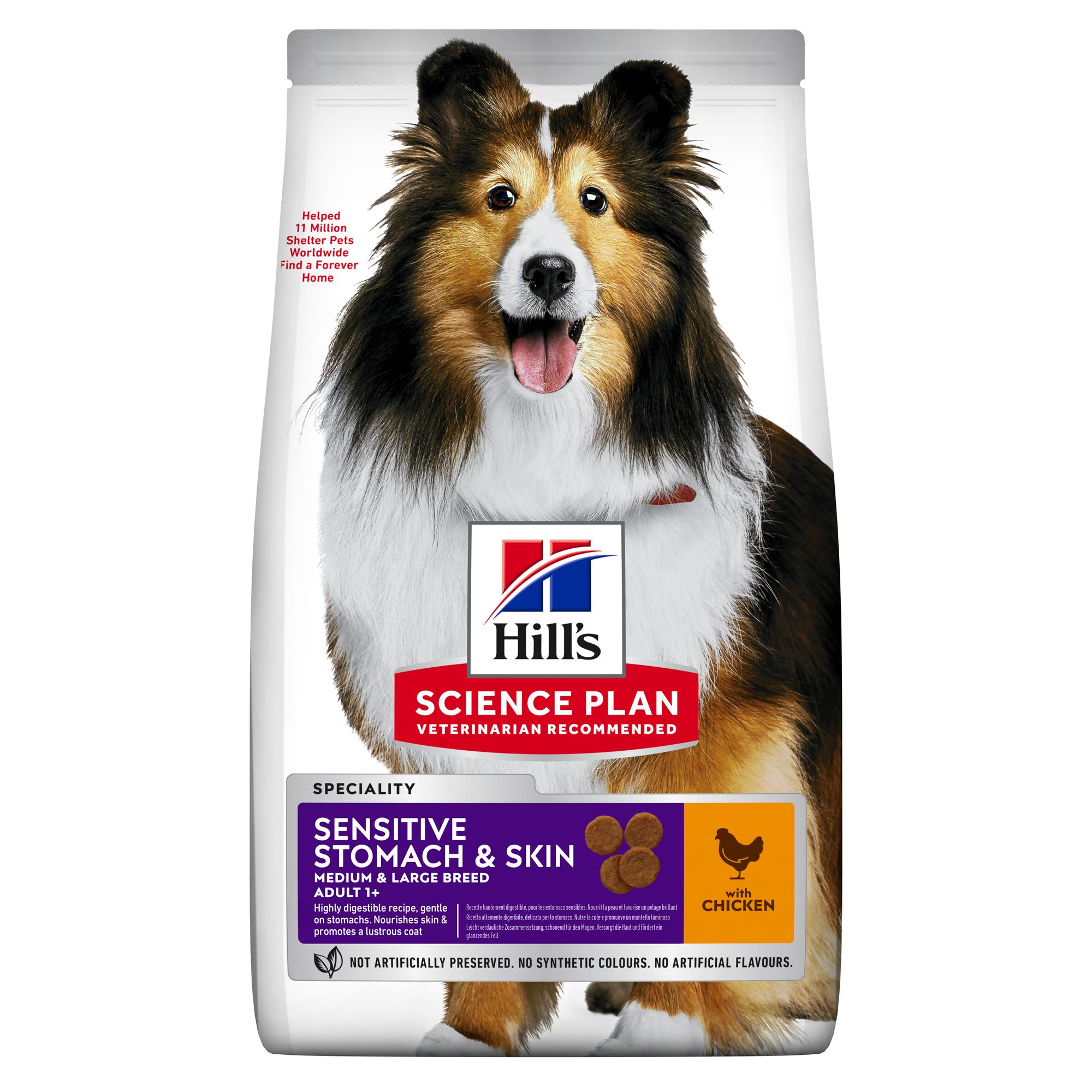 Adult Medium Sensitive Stomach & Skin Hundfoder