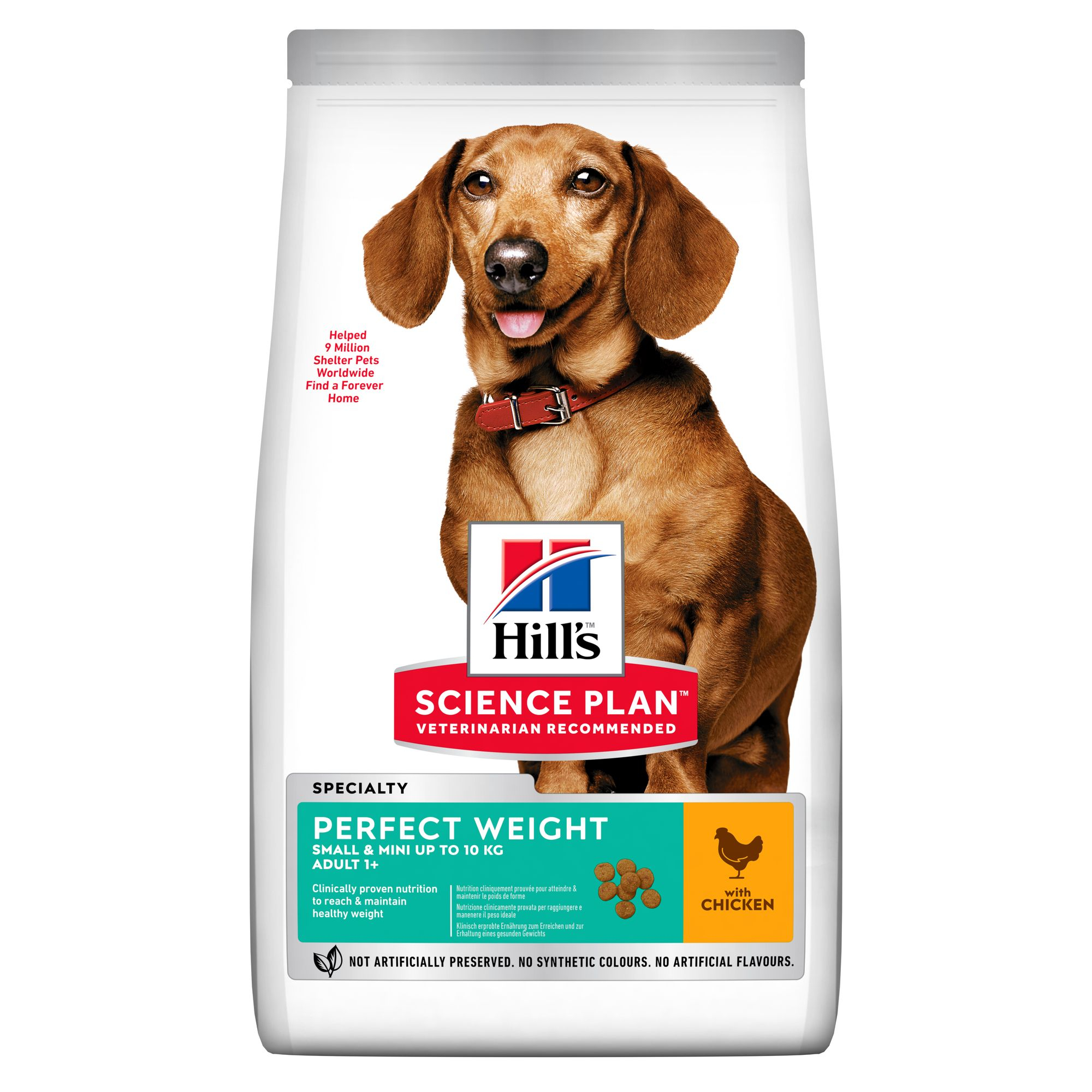 Adult Small & Mini Perfect Weight Chicken Hundfoder