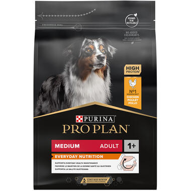 Adult Medium Everyday Nutrition Hundfoder