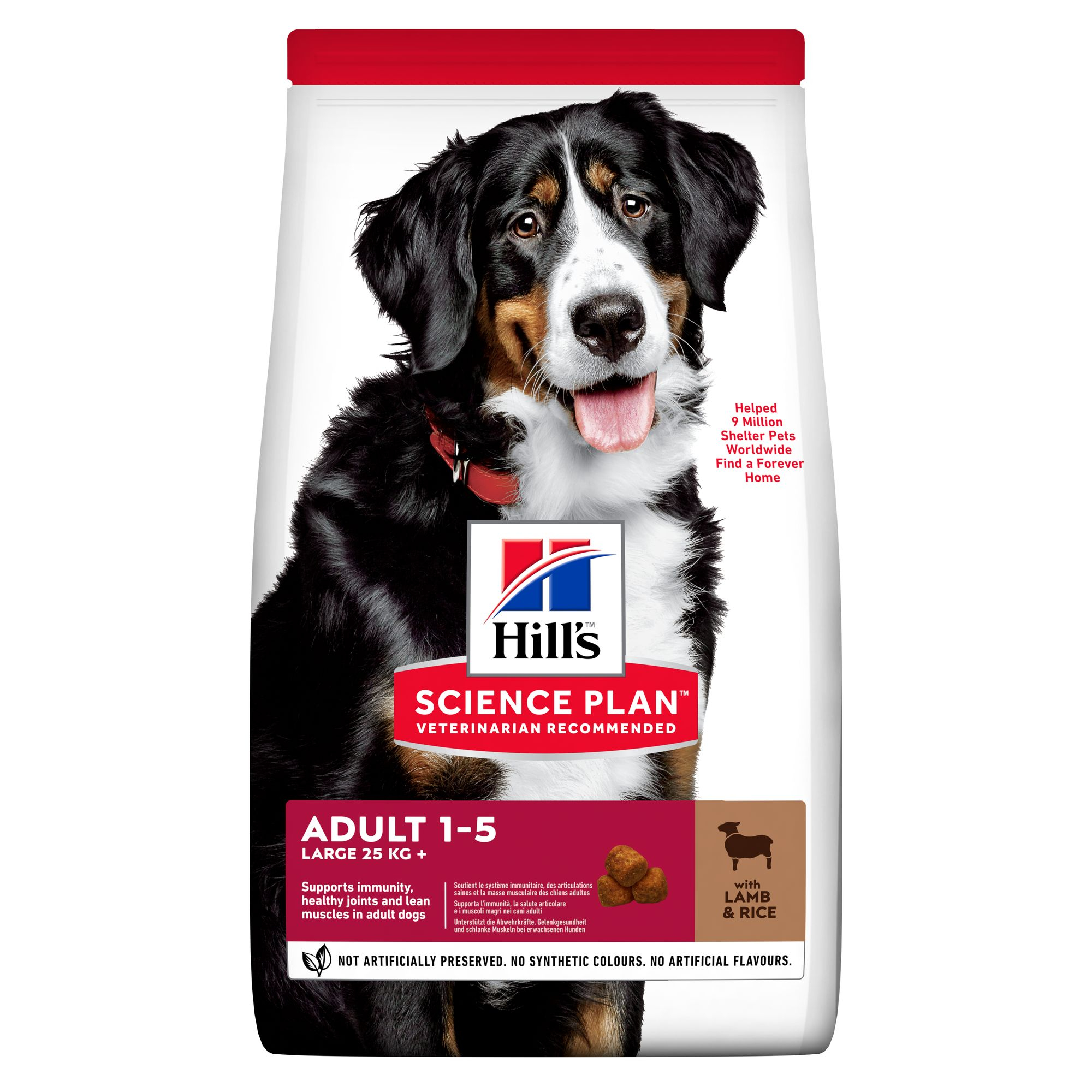Adult Large Breed Lamb & Rice Hundfoder 14kg