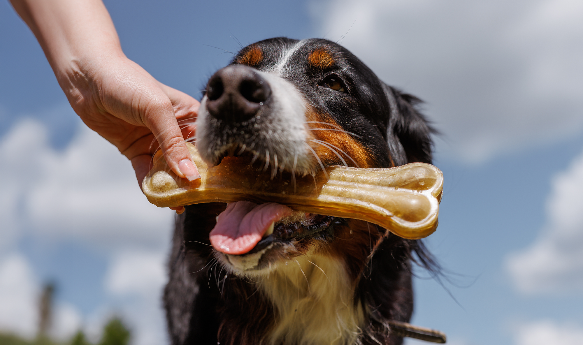 ContentImageBlock Image