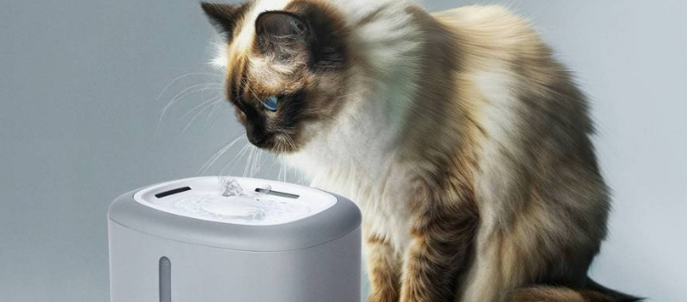 ContentImageBlock Image